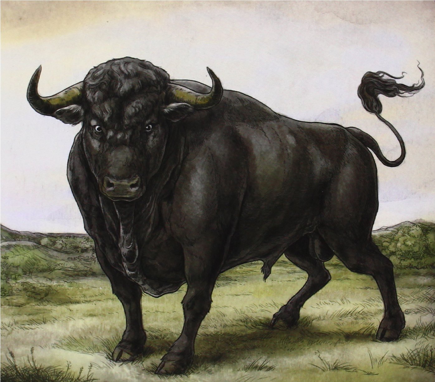 San Fermin [Audio CD] SAN FERMIN