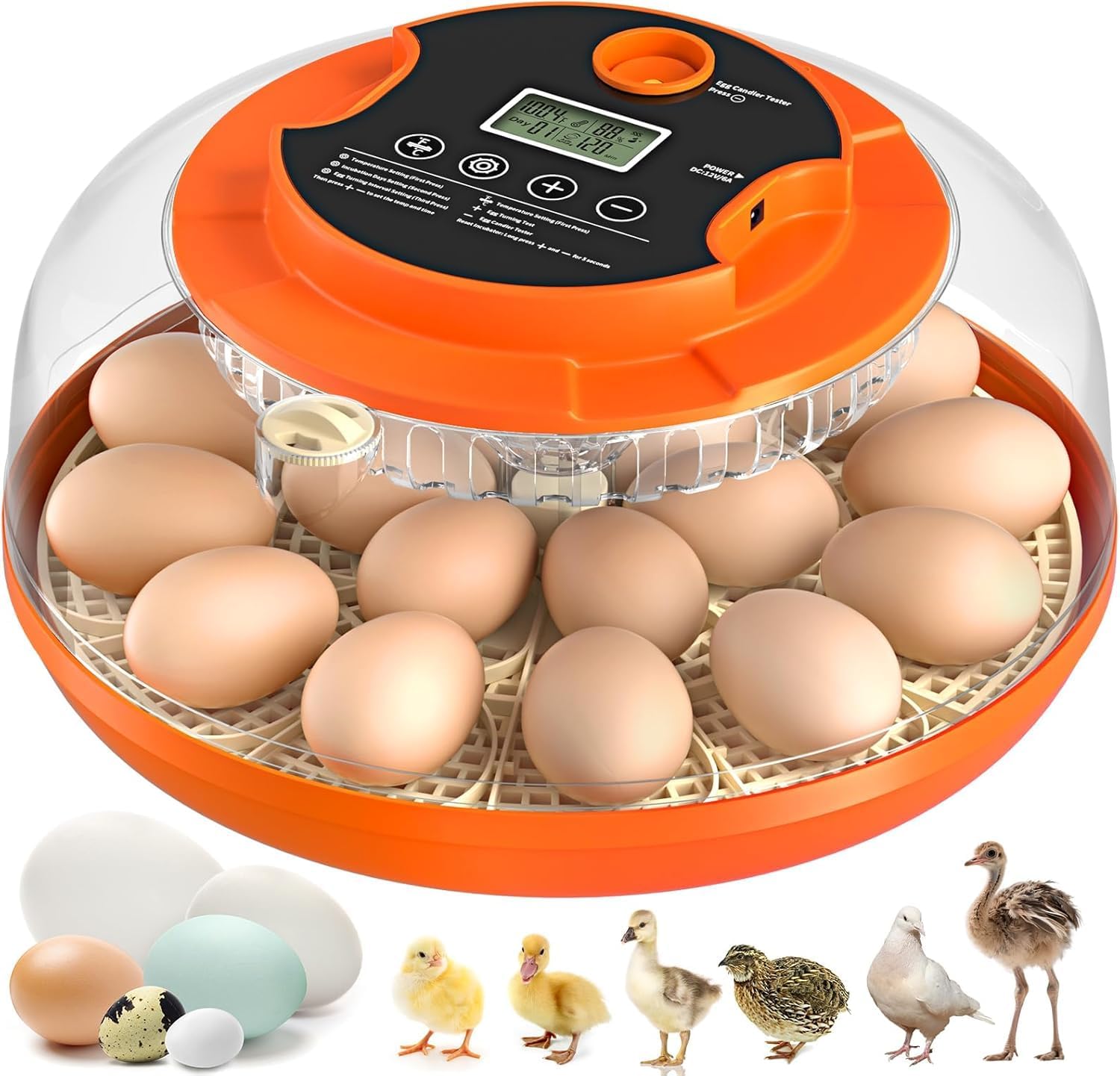 18 Egg Incubator with Automatic Egg Turning and Humidity Control, Eggs Incubators for Hatching Eggs Chicken Quail Ducks Goose Parrot for Home Classroom Lab Farm