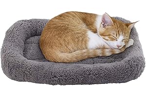 lesypet Small Cat Beds for Indoor Cats Washable