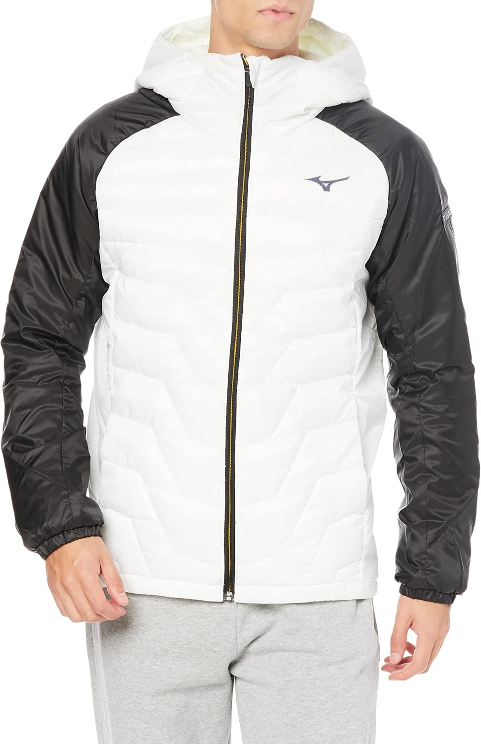 掛け軸 塘柊風 画賛 俳画 紙本 希少 軸装 茶道具 掛軸 美品 です