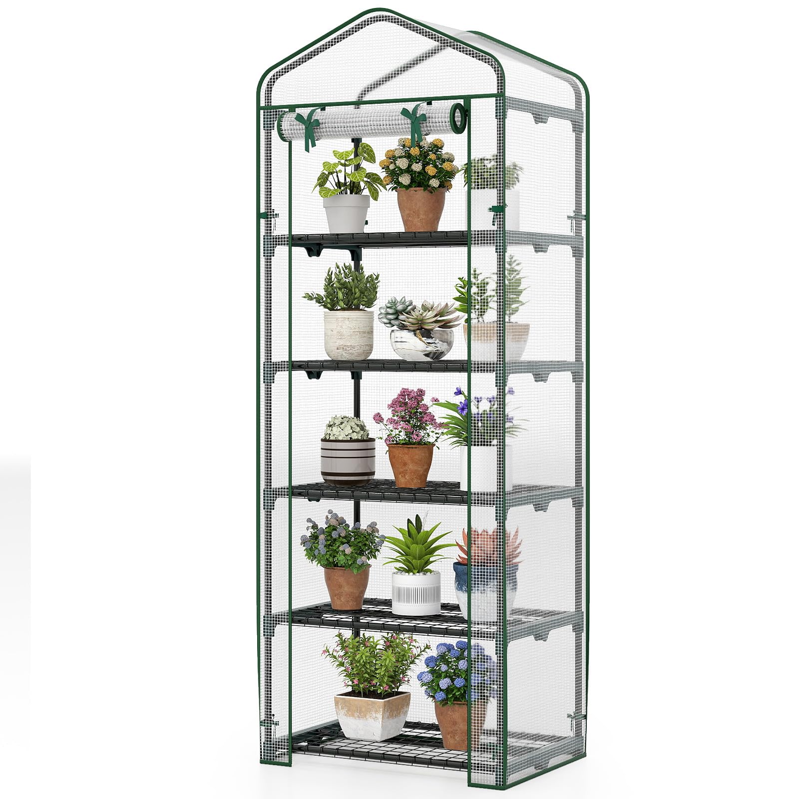 HOMASIS Serre de Jardin avec 4/5 Étagères, Serre de Balcon avec Porte Enroulable à Charnière, Étagère Amovible pour Plantes en Acier, Mini Herbe pour Jardin d'hiver (Transparent, 69 x 48 x 190 cm)
