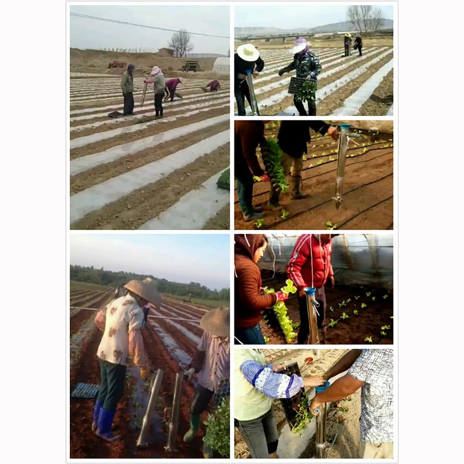 FAXIOAWA Seminatrice da Giardino in Acciaio Inossidabile, fioriera per Semina di precisione a Doppia Impugnatura con Righello e Pedali, trapiantatrice per seminatrice di ortaggi