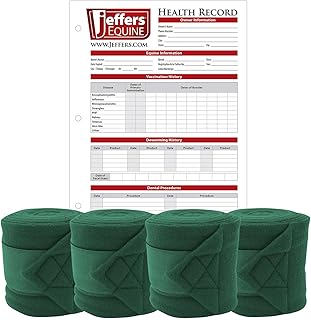 Jeffers Horse Fleece Polo Wraps 4 Pack and Equine Health Record 1 Pack Kit – Leg Wrap Accessories for Training Riding Turnout Stable, Hoof Care Tracker, Equestrian Horse Supplies - Hunter Green