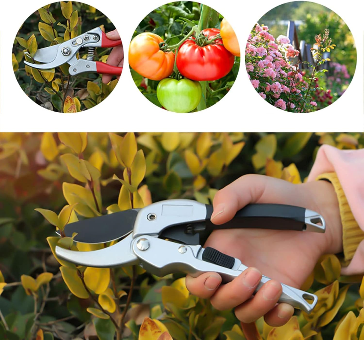 Foarfeca de Gradina 2