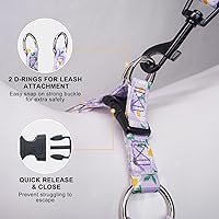 Vista 34 de BEAUTYZOO No Pull Dog Harness and Leash Set - Adjustable Step-in Puppy Harness for Small Medium Large Dogs, Escape Proof Soft Nylon Vest with Double