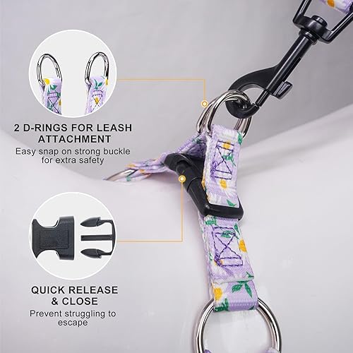 Miniatura 34 de BEAUTYZOO No Pull Dog Harness and Leash Set - Adjustable Step-in Puppy Harness for Small Medium Large Dogs, Escape Proof Soft Nylon Vest with Double