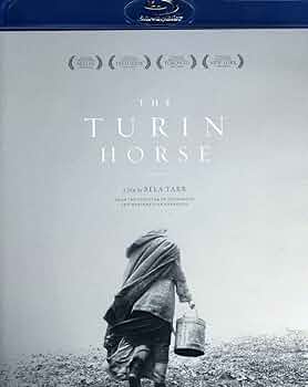 71f8MKpOI9L._AC_UF350,