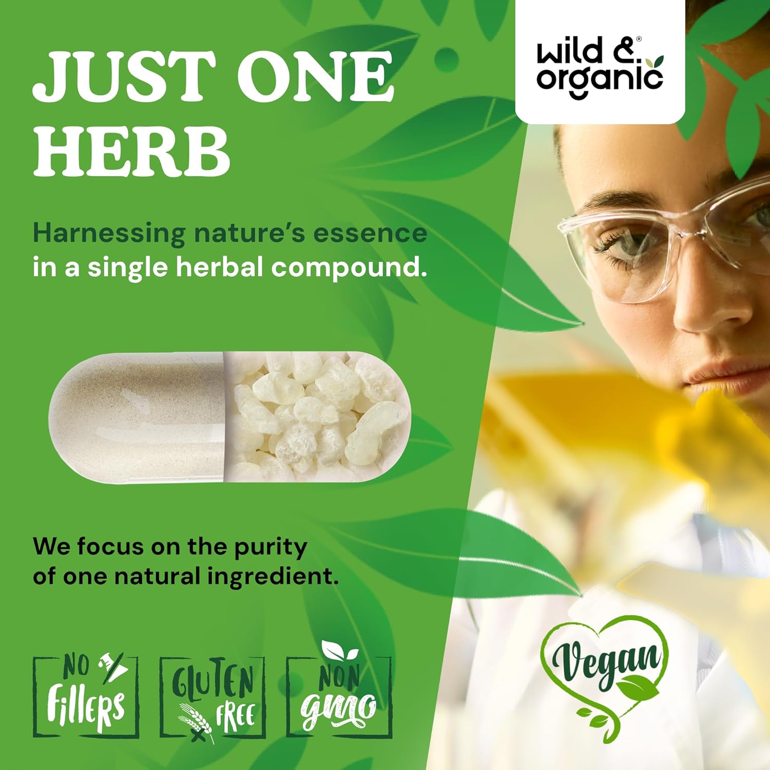 Wild & Organic Mastic Gum Capsules - 1000 mg Mastic Gum Supplement for Gut Support - 30 Days of Supply - 60 Vegan Resin Capsules - No Fillers, Non-GMO, Gluten-Free