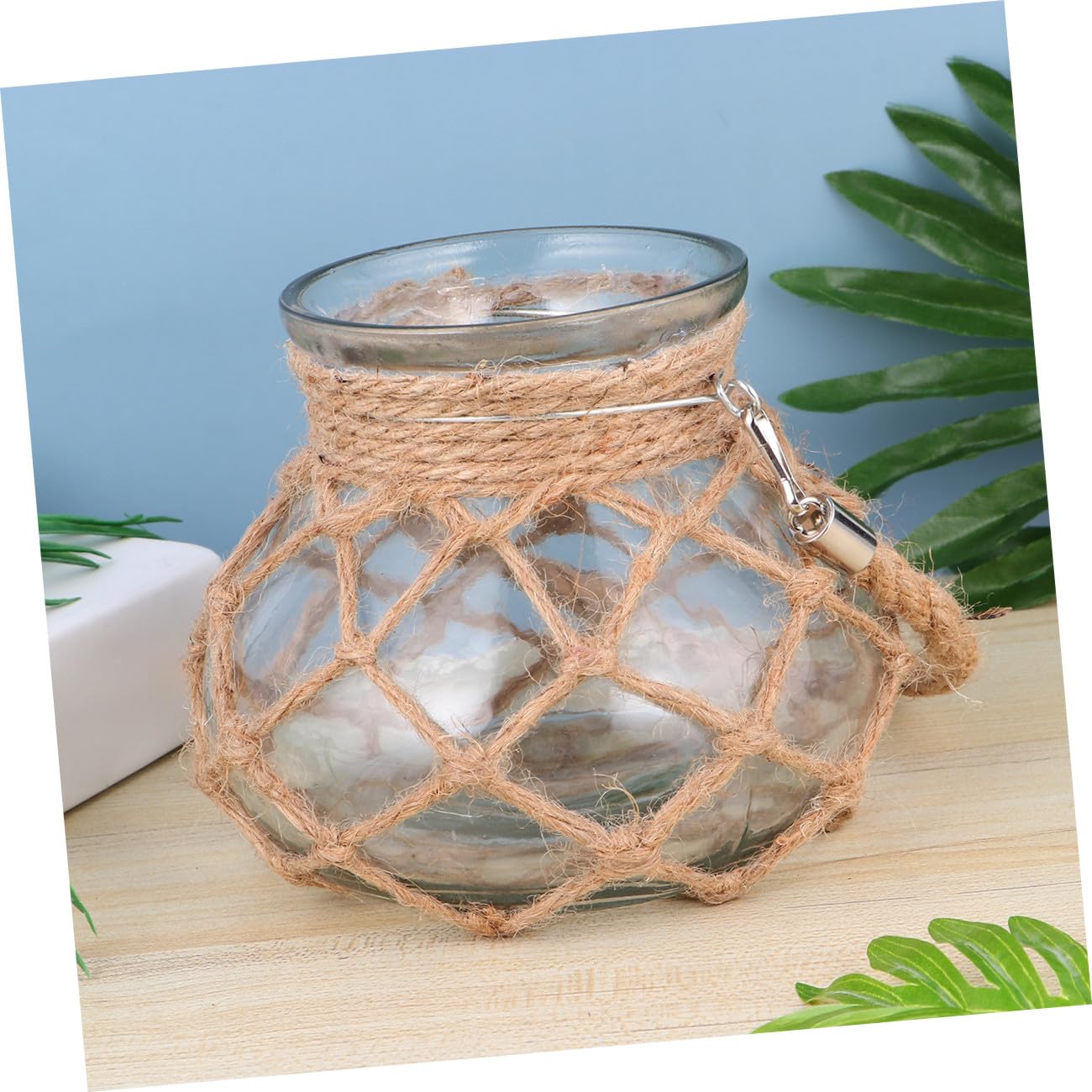 Vase en Verre à Corde Hydroponique Créatif pour Plantes Vertes