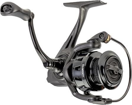 Lews Custom Spinning Fishing Reel, 9+1 Bearings, Aluminum Frame and Sideplate, Screw-in Aluminum Handle, Speed Gears, Speed Lube, Black/Silver