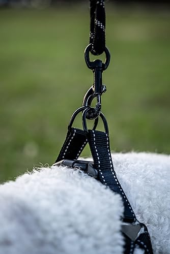 Miniatura 4 de Arnés LED recargable para perro con mando a distancia y cable de carga (extra grande) 2 focos LED para iluminar el área que rodea a tu perro