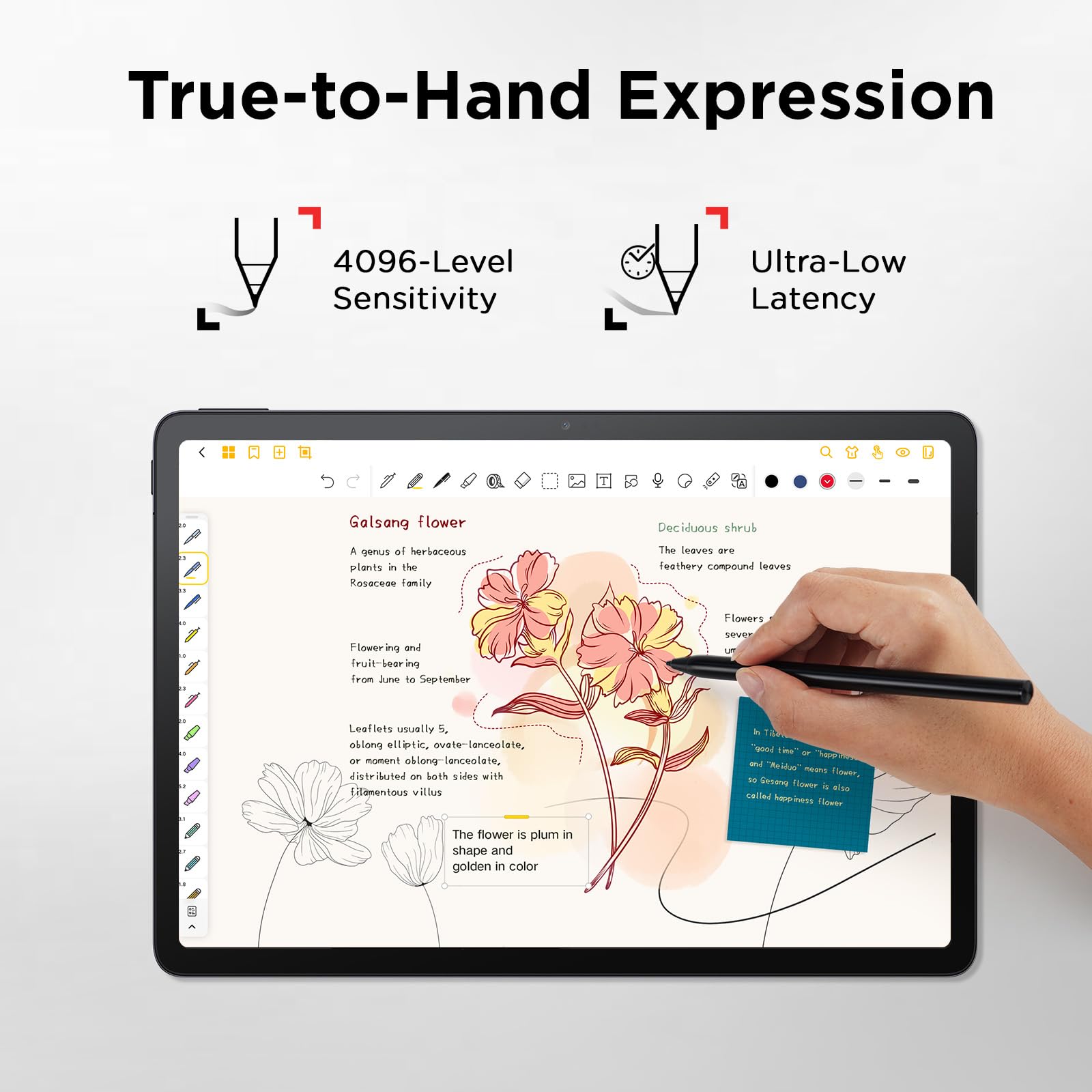Amazon.com: TCL T-Pen Stylus for NXTPAPER 14, NXTPAPER 11 Gen 2