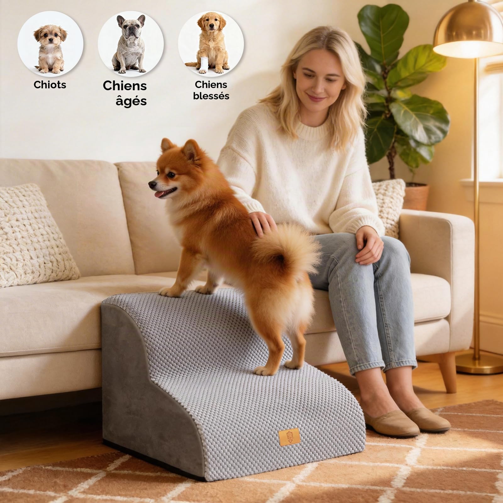 Escalier pour Chien à 2 Marches, Escalier en Mousse pour Chien Haute Densité avec Housse en Tissu Amovible et Lavable, Antidérapante Rampe Animaux pour Chiots et Animaux Agés, Gris