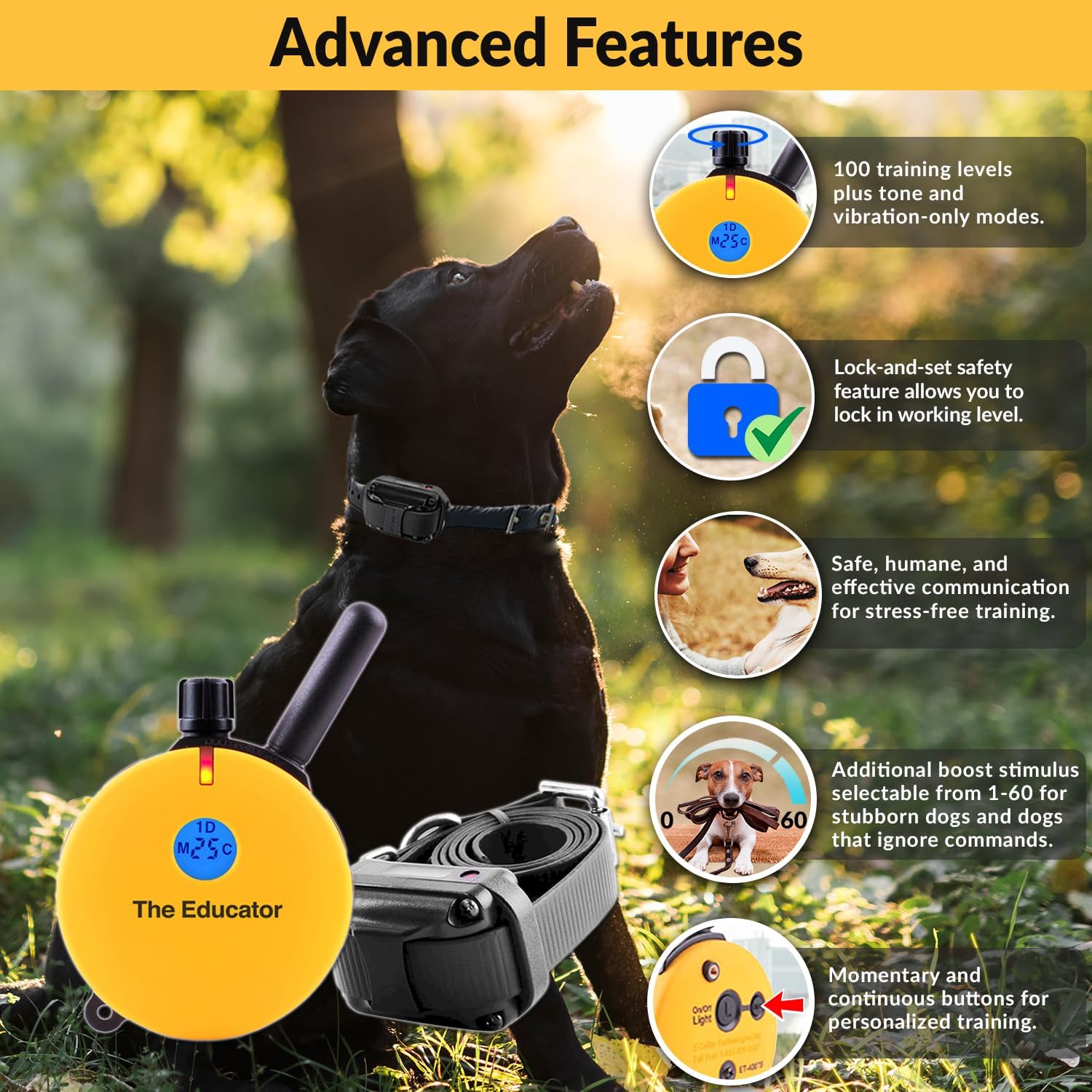 Educator E-Collar Humane Dog Training Collar with Remote - 100 Levels Safe Tapping Sensation Night Light Waterproof Rechargeable 3/4 Mile, includes Premium Finger Clicker for Small/Medium Dog, Yellow