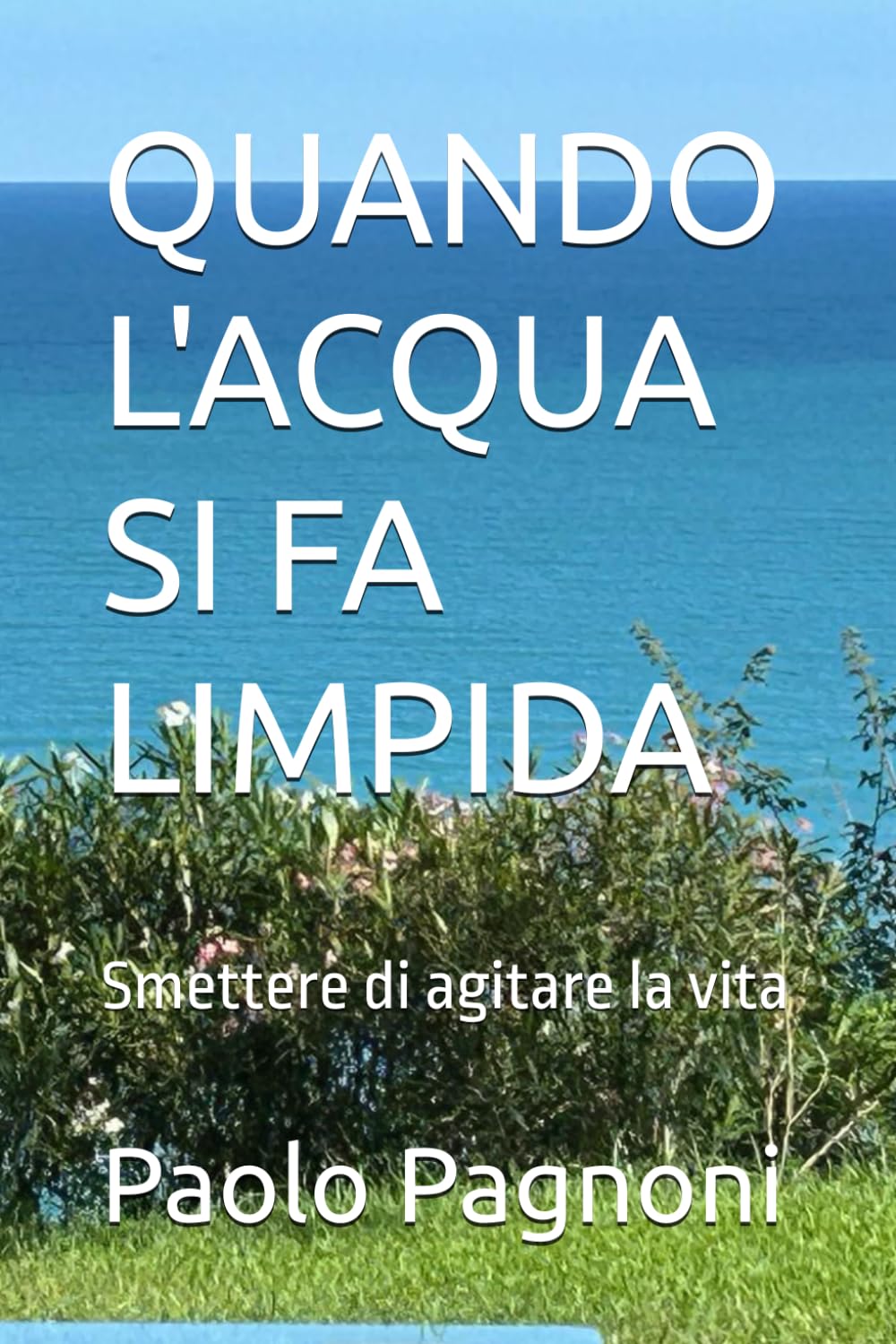 QUANDO L'ACQUA SI FA LIMPIDA: Smettere di agitare la vita