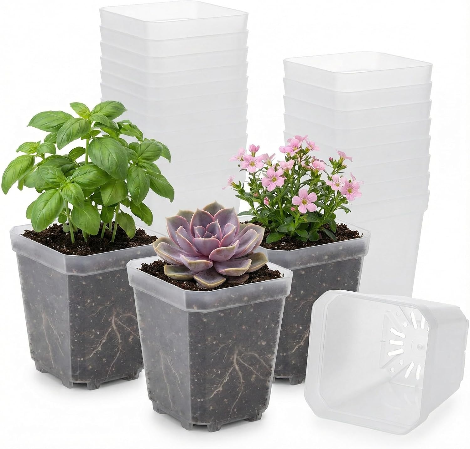 RooTrimmer 120 Packs Square Clear Nursery Pots with Drainage, 2.7 Inch Plastic Seedling Pots for Indoor Plants, Thickened Small Transplant Pot for Seed Starting Succulents Vegetables Lettuce Flowers