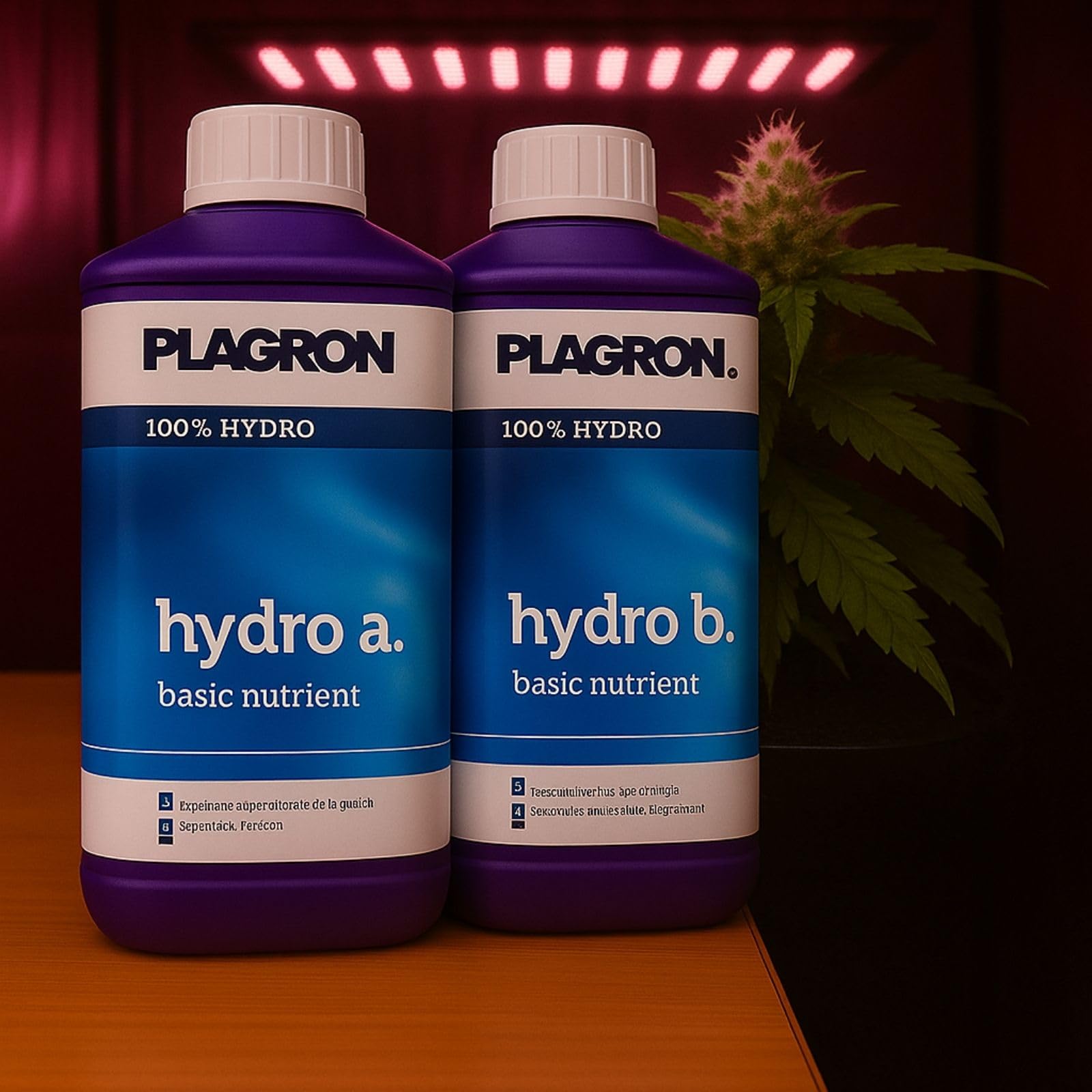 Plagron Coco Dnger Set Basic 4-teilig - A&B 1L, Green Sensation, Power  Roots & Pure Enzym Fr Optimalen Grow