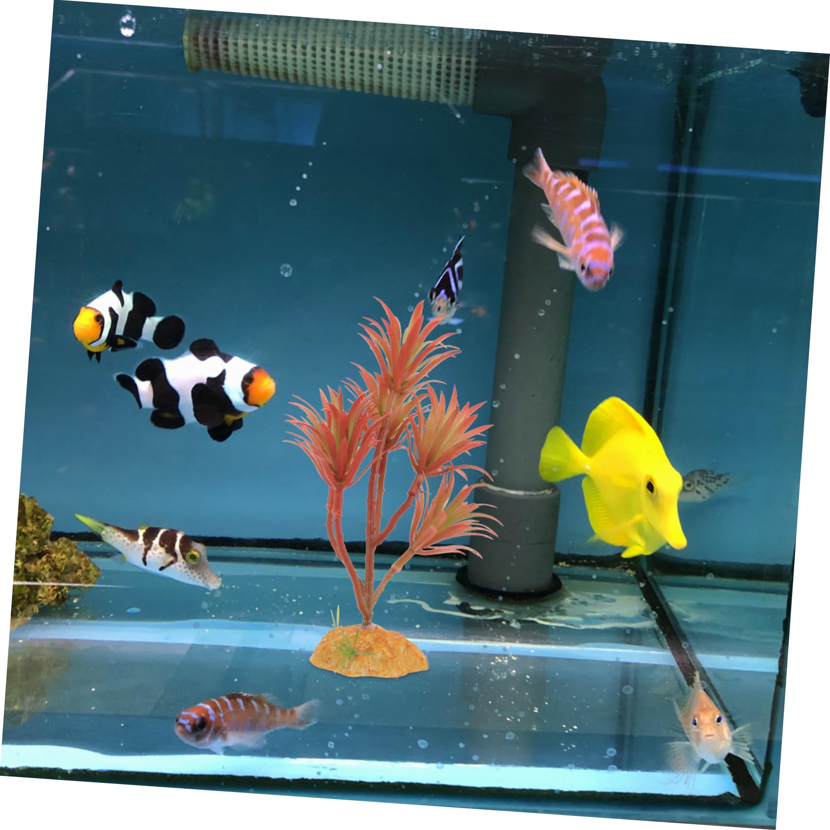 Toddmomy 4pièces Plantes Aquatiques Artificielles pour Aquarium Décoration De Poisson Accessoires De Modèle De Végétation Synthétique Fournitures Aquatiques