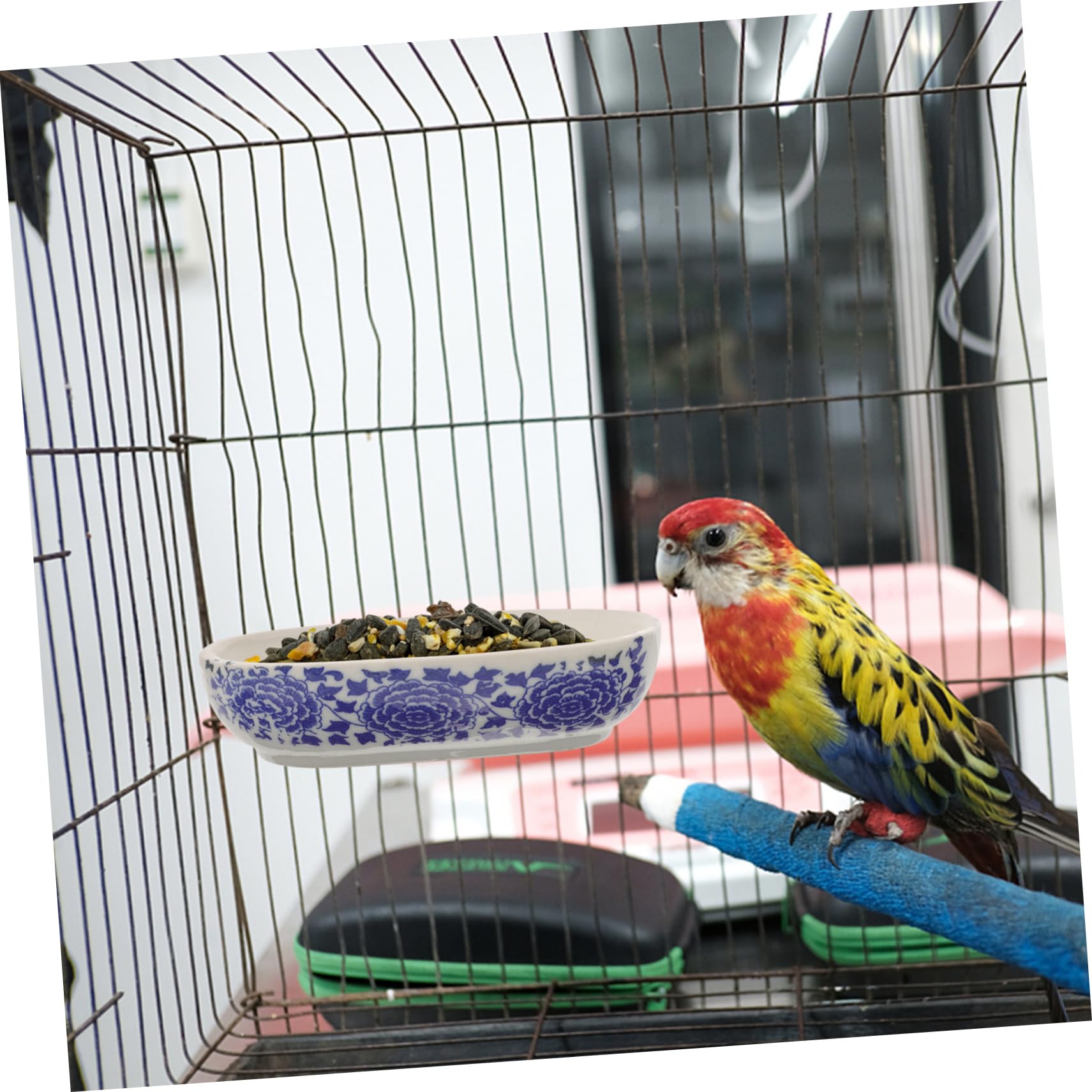 SUPVOX 10piezas Bañera De Pájaros Bañera De Plástico para Periquitos y Aves Segura Bordes Suaves para Cuidado Higiene De Mascotas