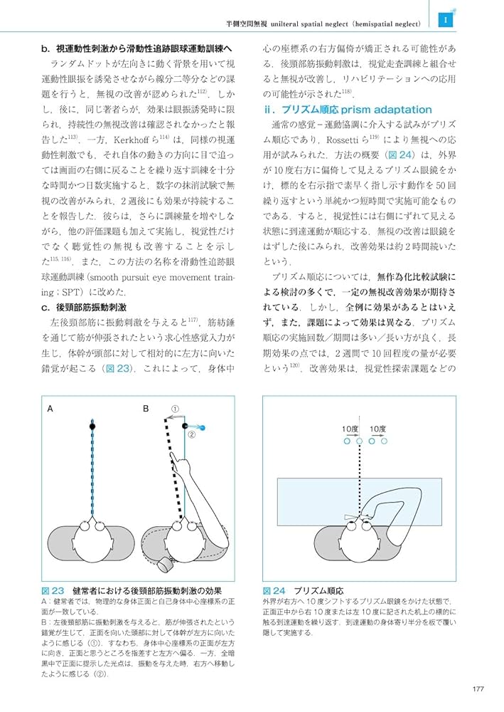 Amazon.co.jp: 高次脳機能障害学 第3版 : 石合 純夫: 本