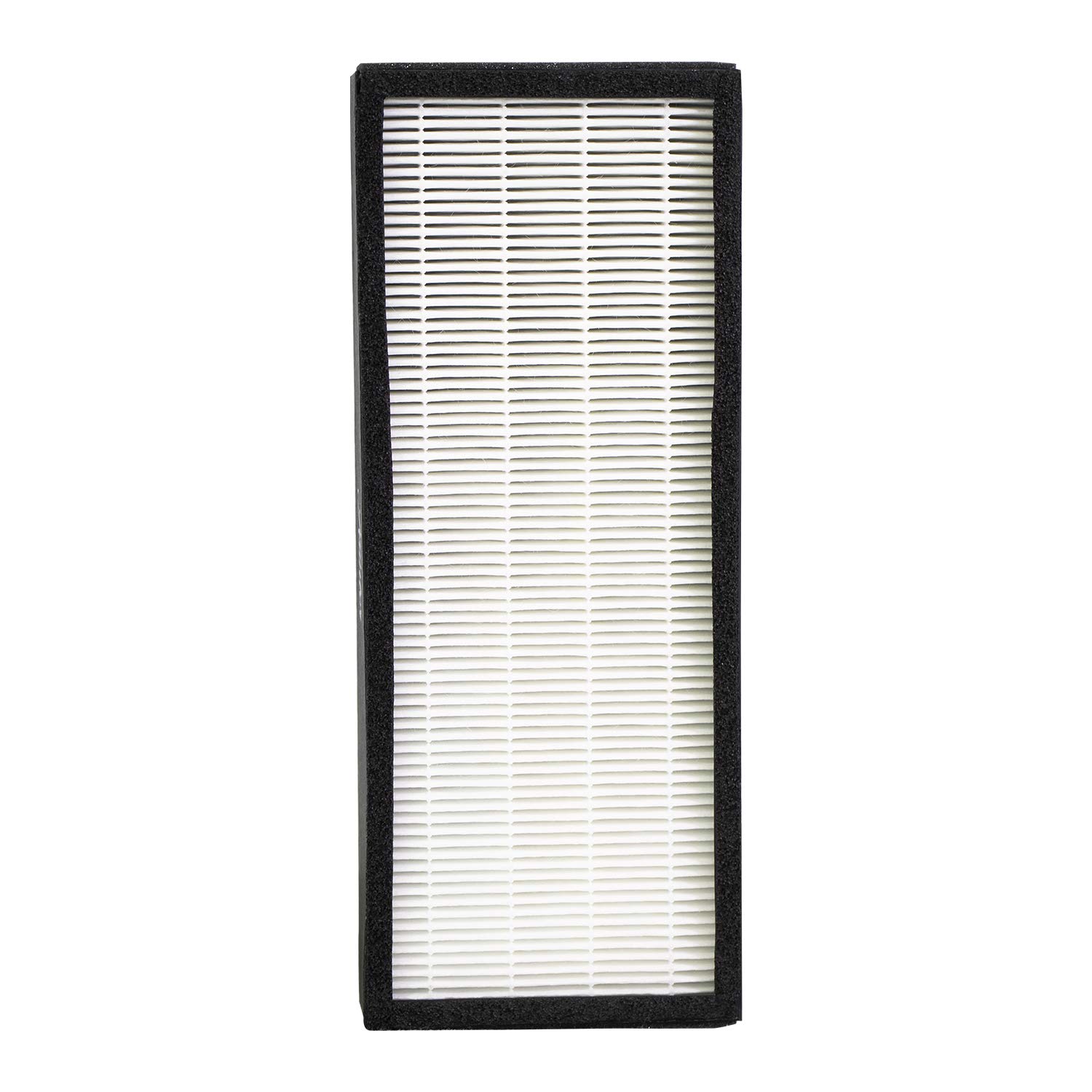 Hunter F1702HE True HEPA Replacement Air Purifier Filter for Models HT1702, 10200