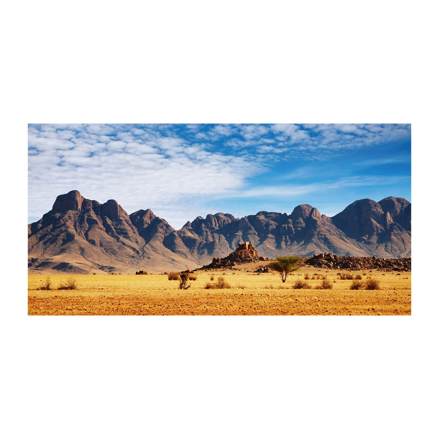 Mural art image verre plastique grand format salon chambre design Namibie