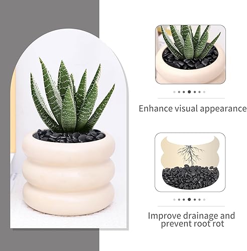 Miniatura 5 de Piedras negras de 10 libras para plantas de interior, jarrones, suculentas, rocas negras pequeñas de 38 pulgadas para plantas, pulidas y decorativas