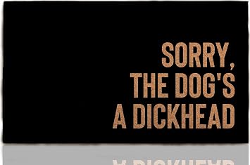 Faux Coir The Dogs a Dickhead Funny Welcome Mat, 30x18 Inch Outdoor Entrance Rug, Washable Custom Doormat for Porch