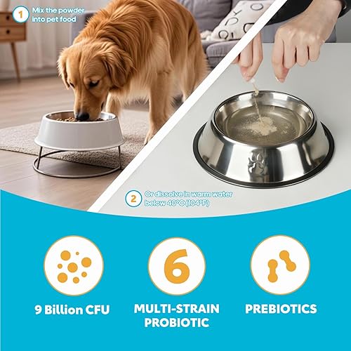 Miniatura 6 de Probióticos para perros, probióticos para perros con enzimas digestivas y prebióticos para apoyar la salud intestinal y la digestión, apoyo