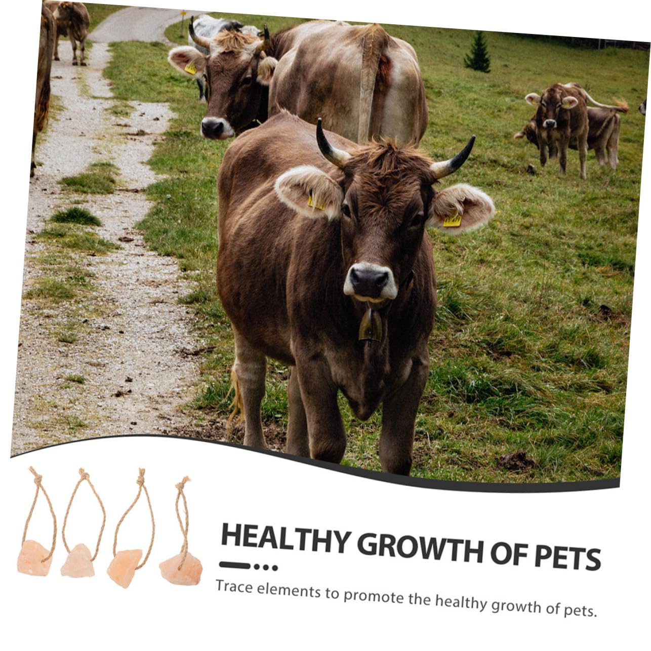 Mipcase 4pièces Lick Salt Blocks For Horses Cattle And Deer Natural Mineral Salt For Livestock Vitality And Wellbeing