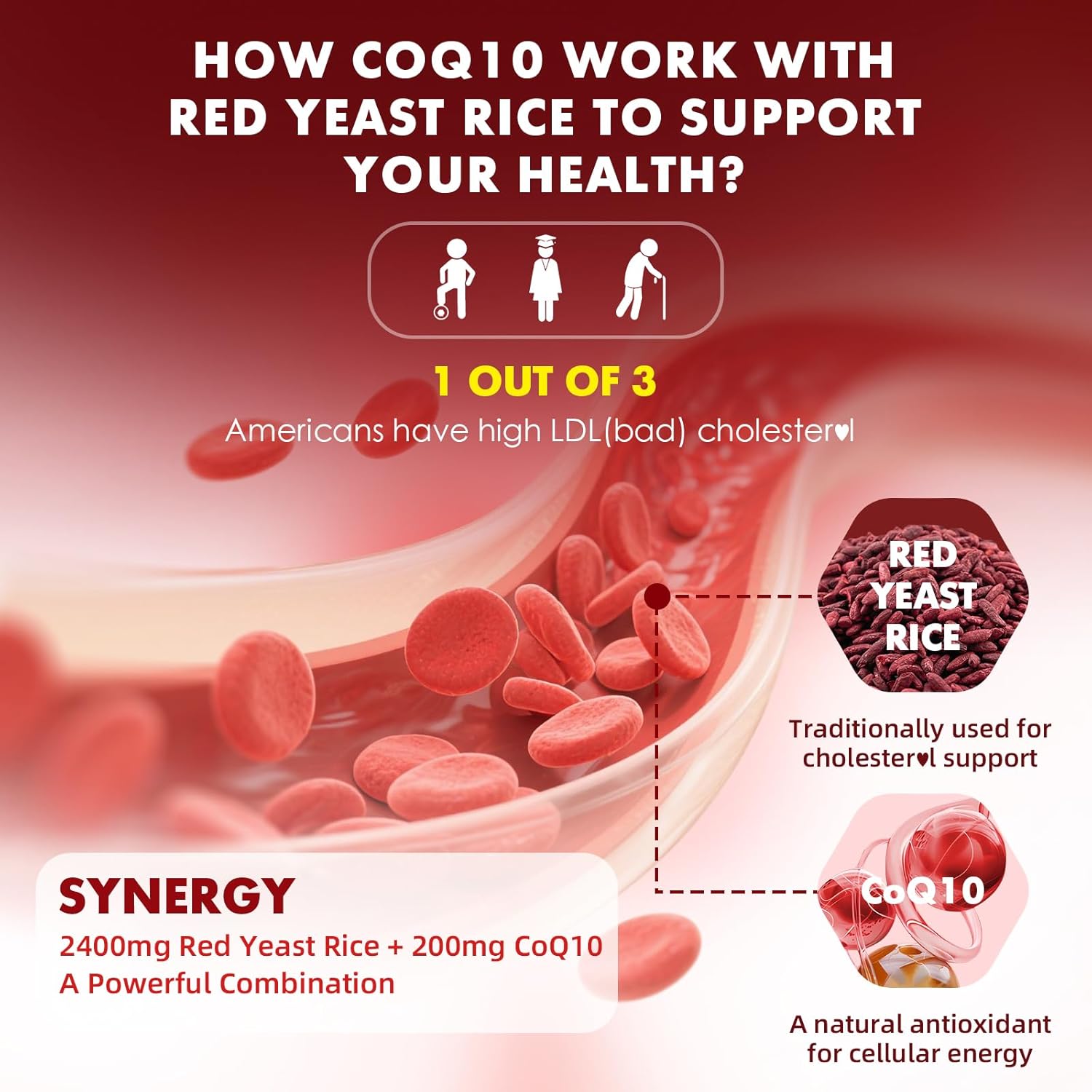 2 Pack Red Yeast Rice with Coq10 Gummies, Red Yeast Rice Supplement, Sugar Free, Raspberry Flavor, 120 Count - Image 5