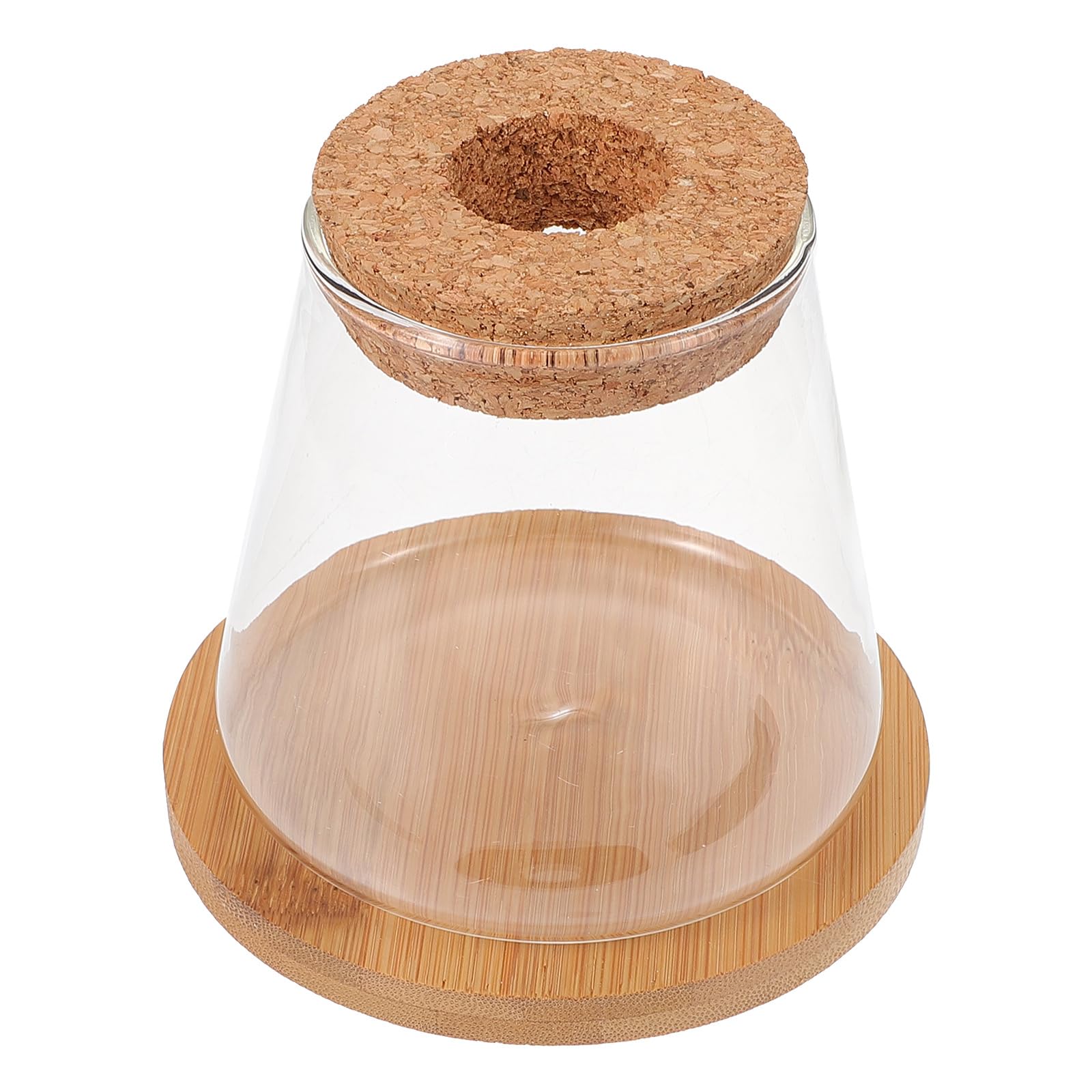 GANAZONO Small Glass Betta Fish Tank with Wood Lid and Bamboo Stand Table Hydroponic Plants Terrarium Desktop Clear Fish Bowl for Home Decoration