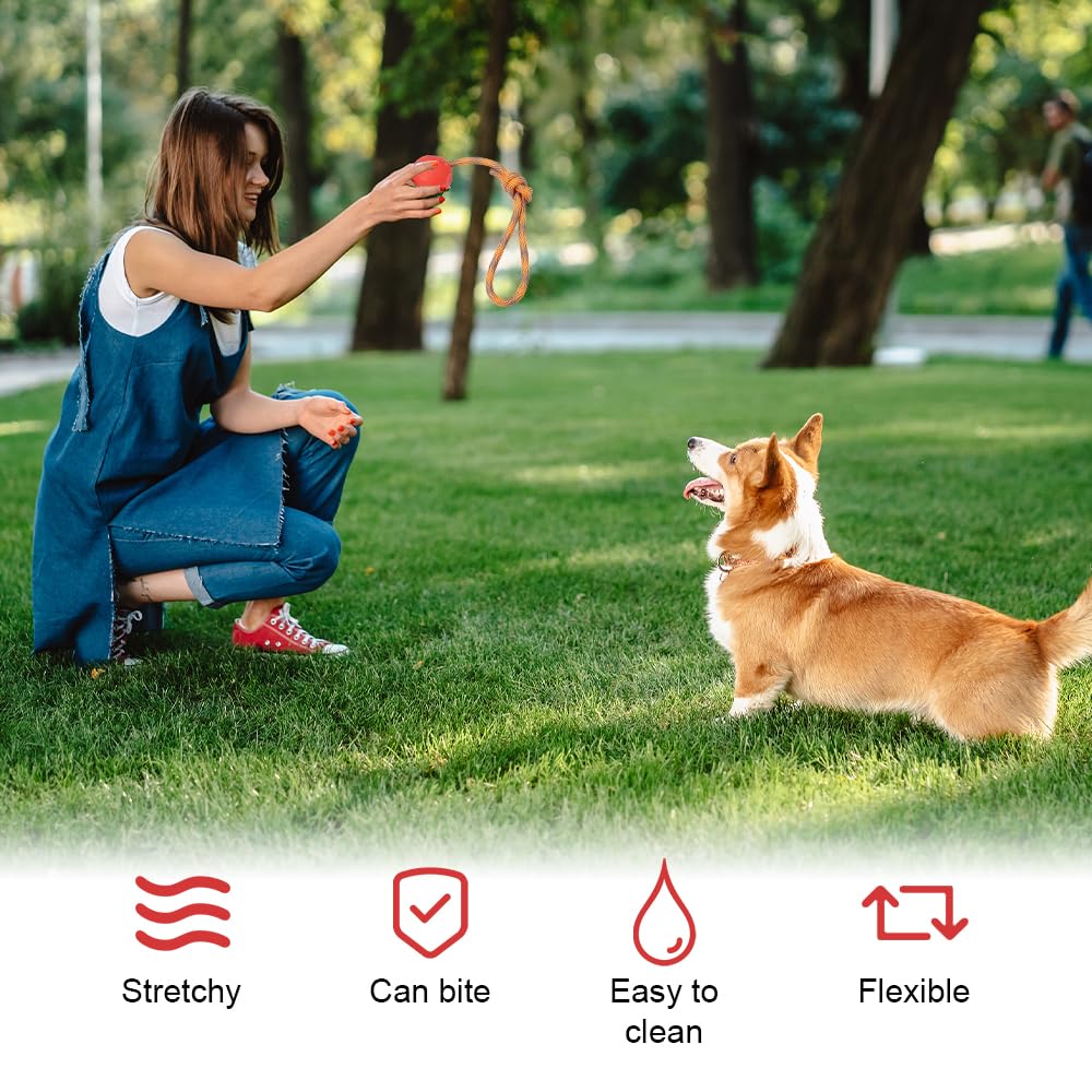 Palla Per Cani Interattiva - Pallina Ricaricabile USB Che Si Muove Da - 11