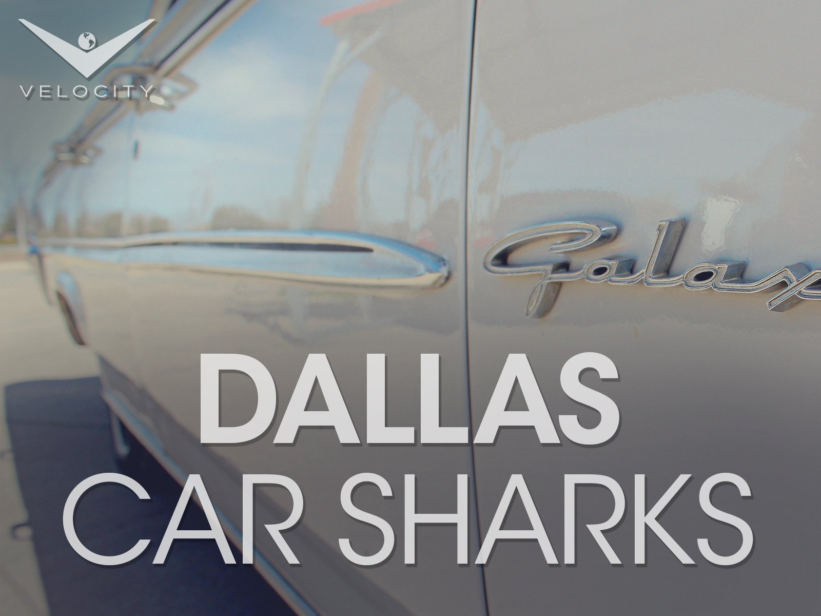 Dallas Car Sharks Season 3