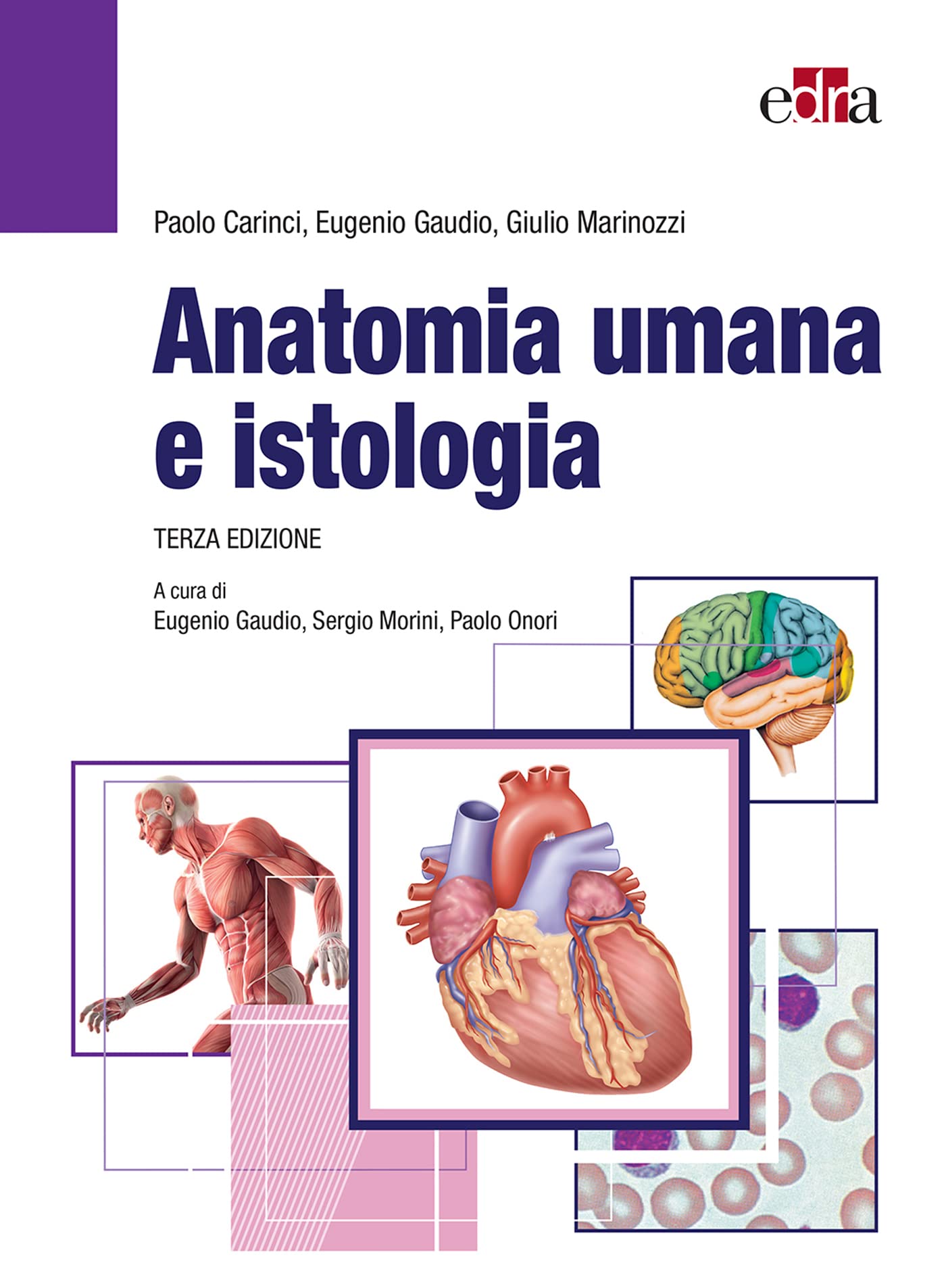 Anatomia umana e istologia: Terza Edizione