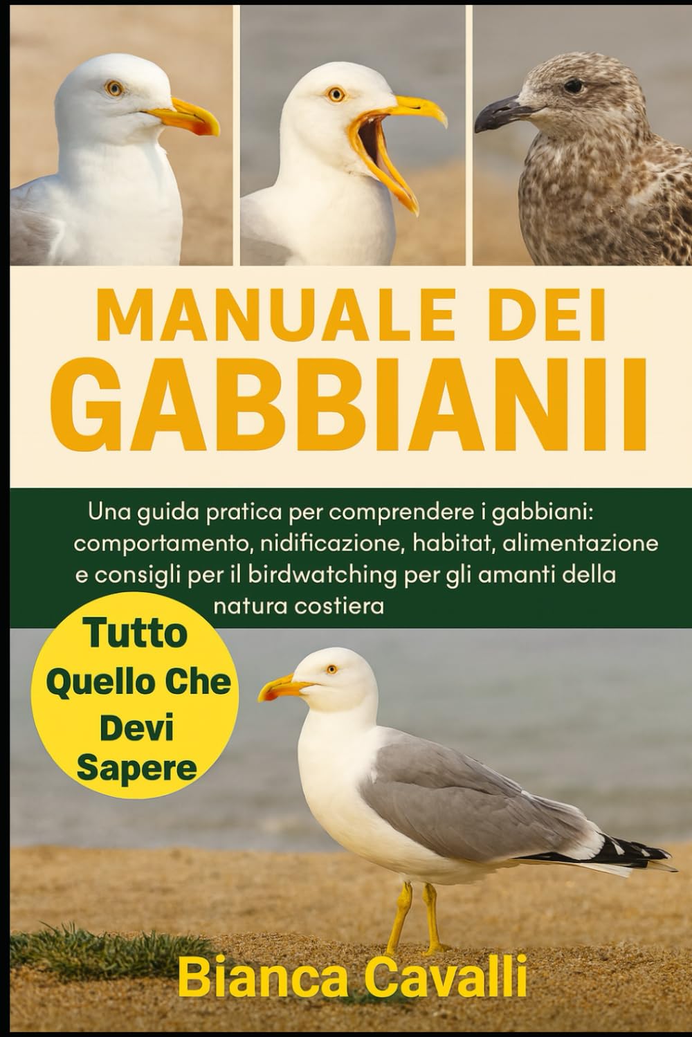 MANUALE DEI GABBIANI: Una guida pratica per comprendere i gabbiani: comportamento, nidificazione, habitat, alimentazione e consigli per il birdwatching per gli amanti della natura costiera