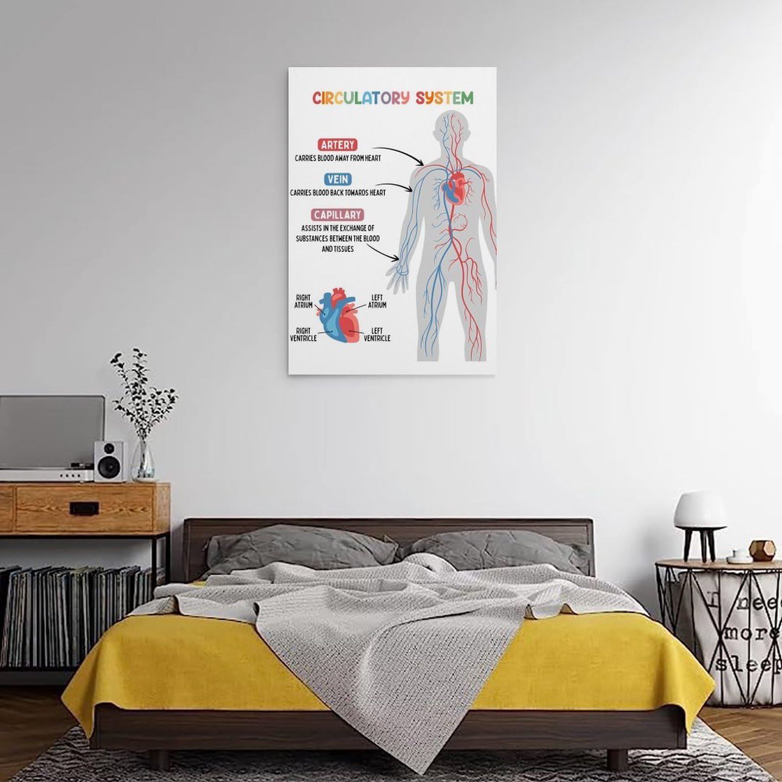 Circulatory System: nowoczesne wydruki na płótnie, dekoracyjne obrazy do pokoju chłopca lub dziewczynki, obrazy ścienne do salonu i obrazów z motywami świątecznymi, 30 x 30 cm