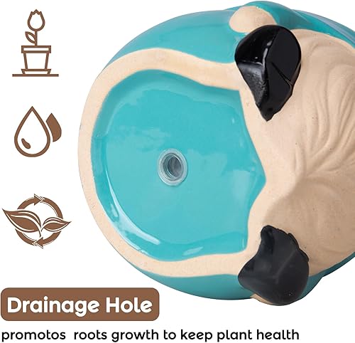 Miniatura 3 de Chonsun Maceta de cerámica con platillo, macetas de 6 pulgadas, maceta de interior con agujero de drenaje, macetas de flores suculentas, maceta de