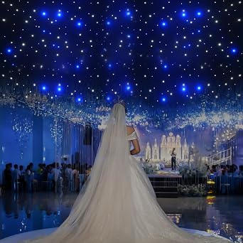 10ft x 20ft Stage Star Curtain Backdrops, 110v LED Stage Backdrop for Birthday Party Club Wedding Curtain Stage Decoration 9.8ft x 19.7ft