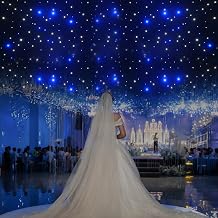 9.84 * 19.69ft LED Stage Backdrop Star Light Curtain Backdrops Led Stage Star Backdrop with Voice Activated DMX Control Blue White Stage Wedding Starry Sky Cloth Background, USHS8