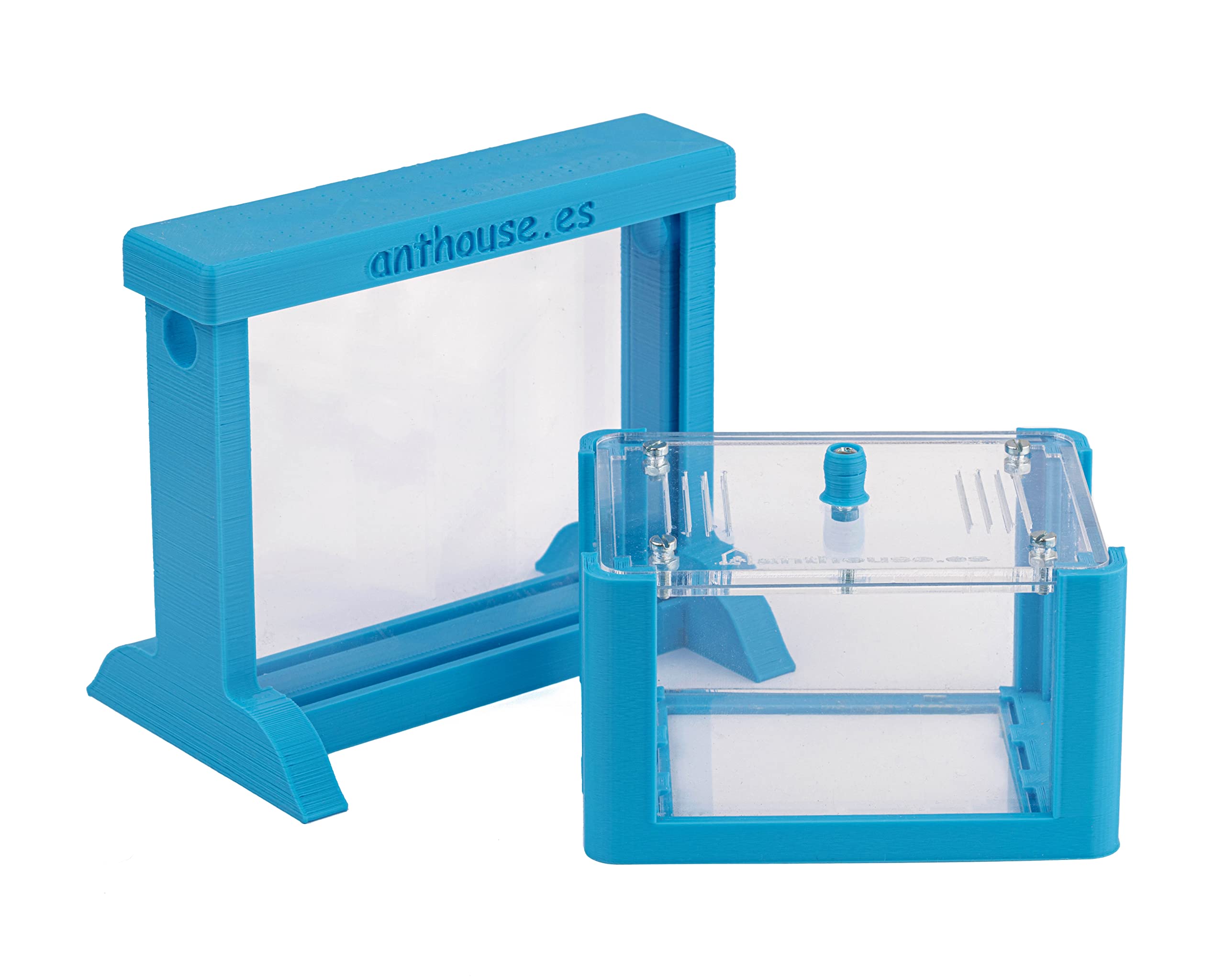 AntHouse - Natürliche Ameisenfarm aus Sand | 3D Basic Set (Sandwich + Futterbox) Himmelblau | Inklusive Ameisen - 5