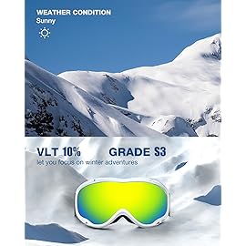 ZIONOR Lagopus Ski Snowboard Goggles UV Protection Anti fog Snow Goggles for Men Women Adult Youth