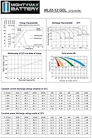 Vista 8 de Mighty Max Battery Repuesto de batería de gel de 12V 22AH para Crown 12CE21-2 Pack