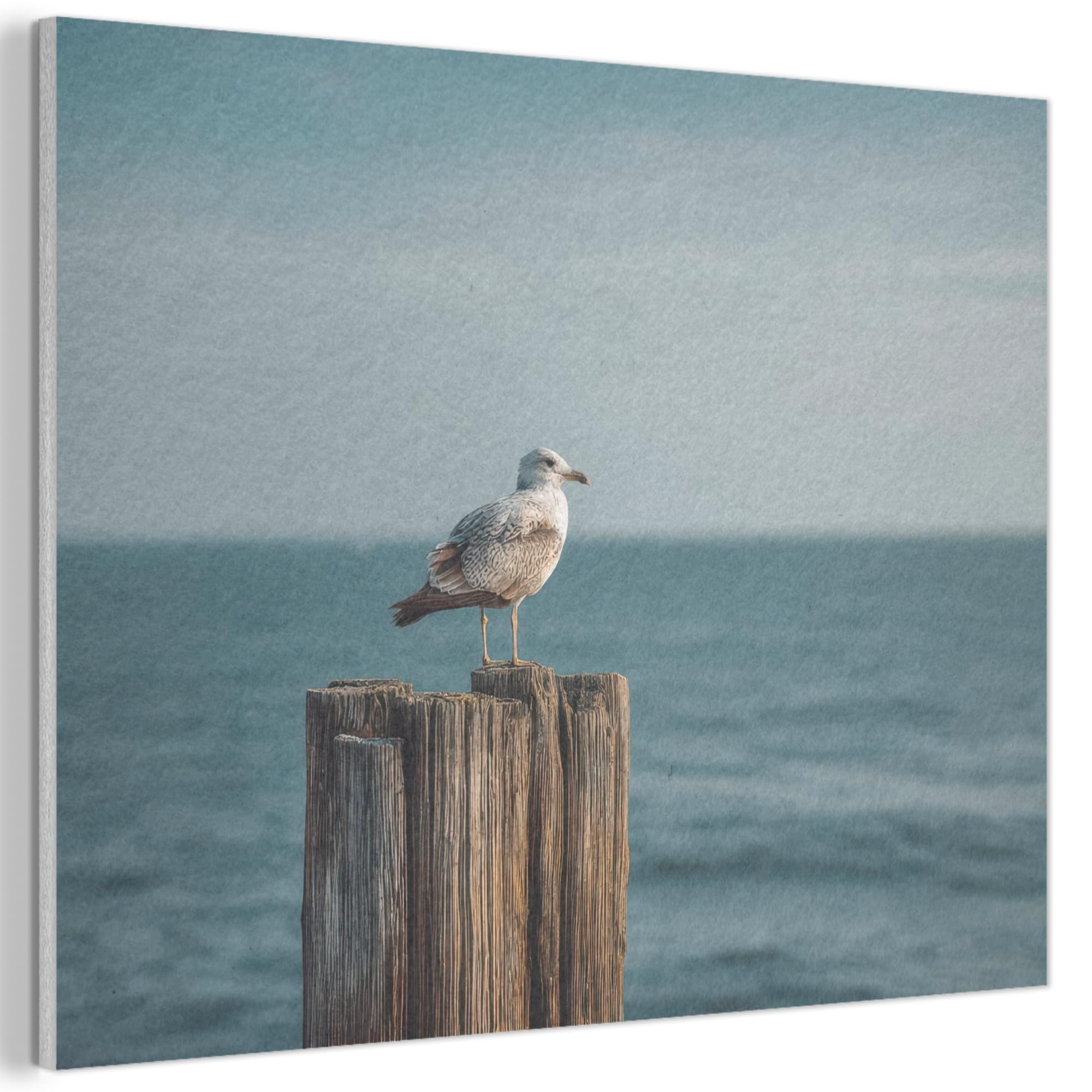 MuchoWow© Felt Panel 40x30 cm House Touch for Living Space Modern Visuals Decoration Wall Art Gull - Pole - Sea