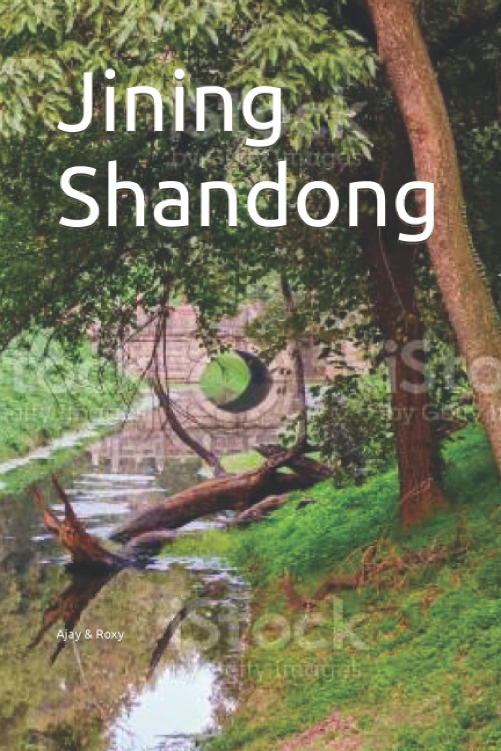 Jining Shandong: Writing Journal For Men, Women & Kids, Journal Blank Pages, Diary & Notebook