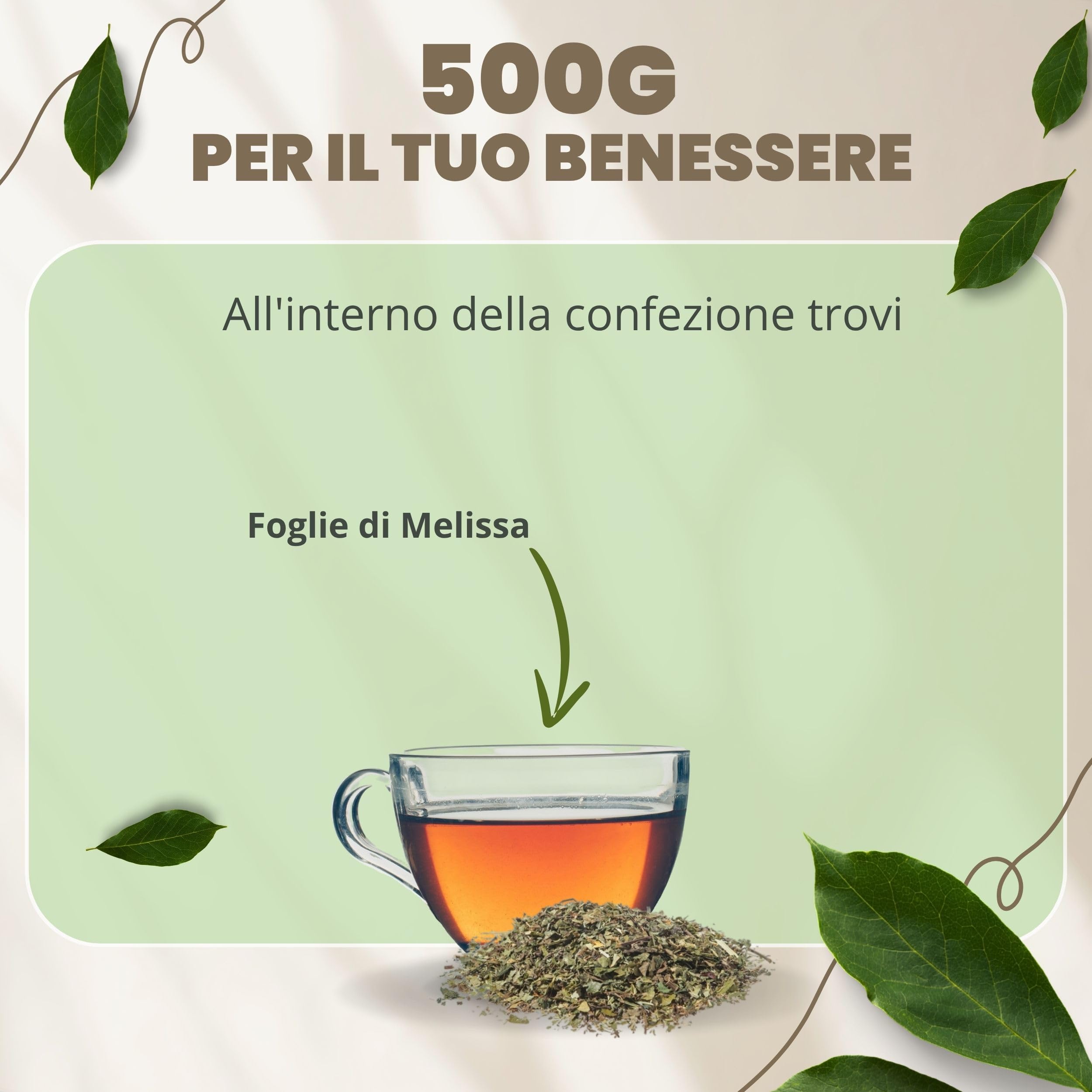 PATRIZIO BRESEGHELLO - Melissa Foglie 1/2 cm Taglio Tisana 500 g - Melissa 100% Naturale per Infuso e Tisana Rilassante, Digestiva e Carminativa