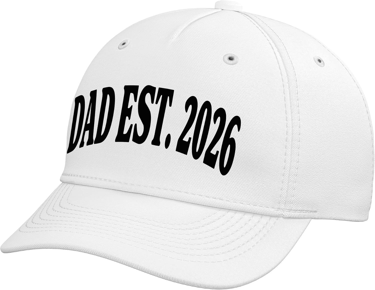 DAD 2026 Viral Slang Word Retro Style Adjustable Baseball Hat