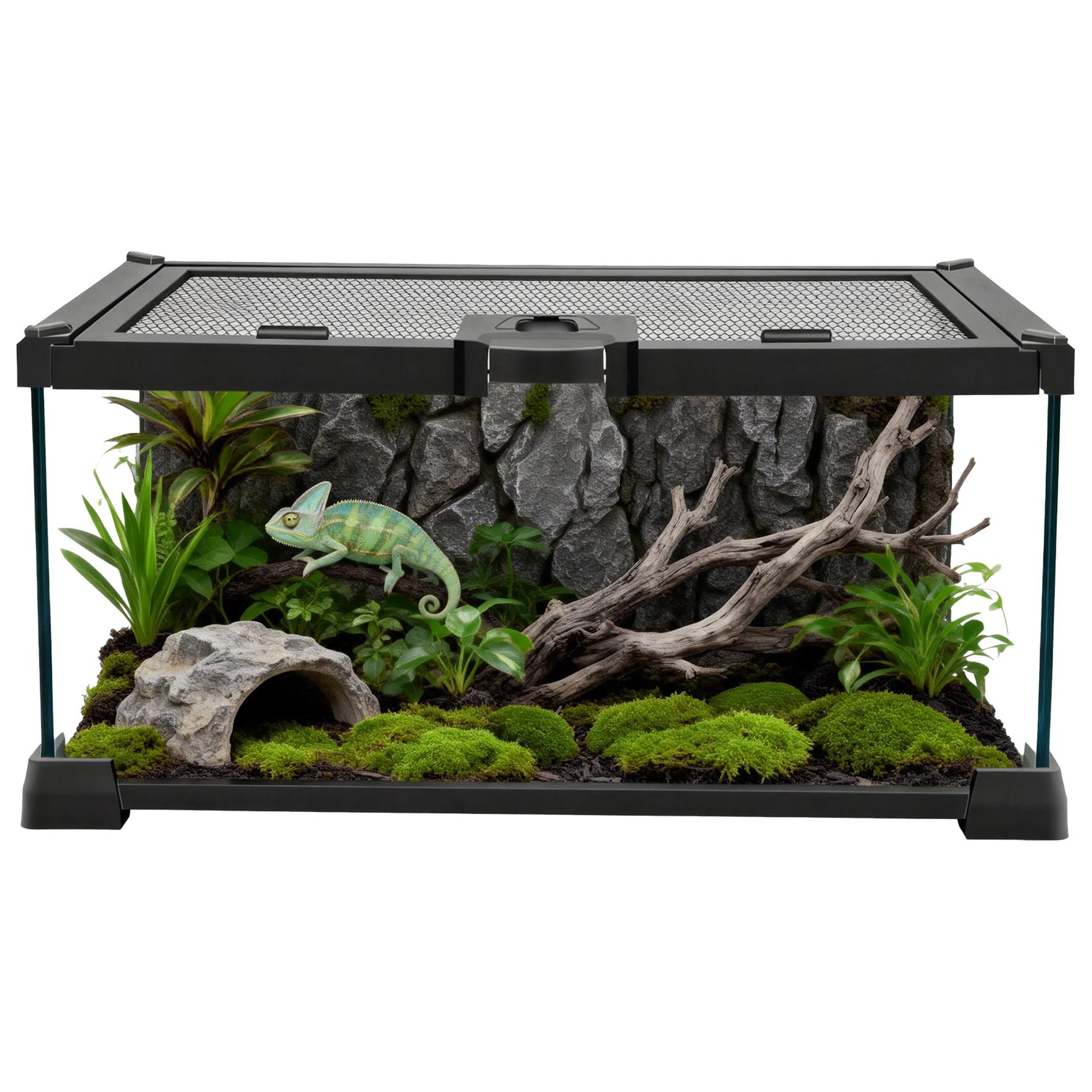 Mini serbatoio di vetro per rettili, 30,5 x 20,3 x 15,2 cm, coperchio in rete con apertura superiore con fermo, vista chiara a 360°, recinzione ventilata per ragni saltatori, tarantole, isopodi e rane