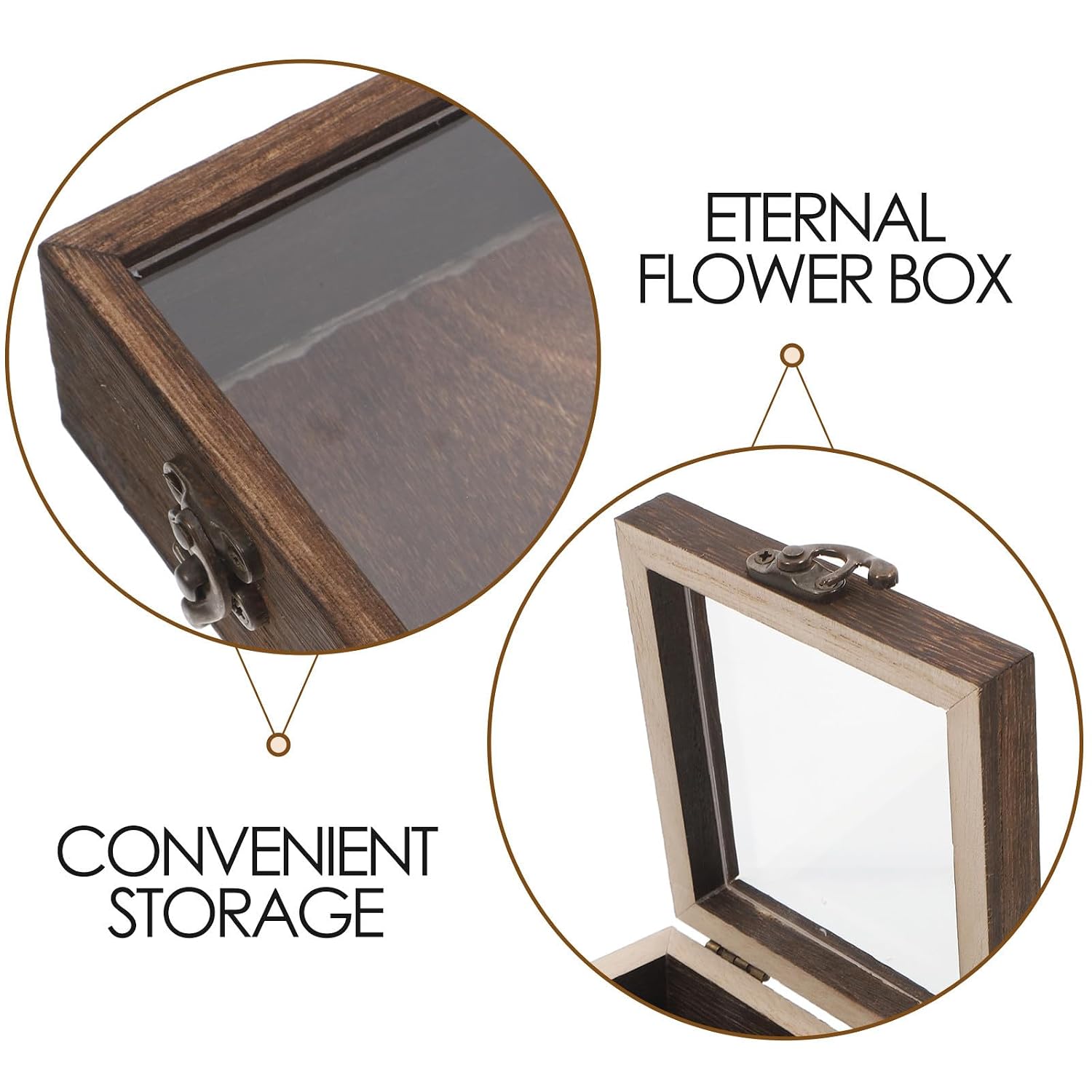 Vaguelly Wooden Insect Specimen Display Box with Lid for Small Accessories and Jewelry, Featuring Easy Storage and Multifunctional Design, for Home Decor and Wedding Displays