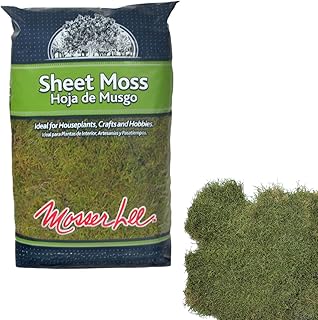 Mosser Lee ML0480 Natural Green Sheet Moss – 520 sq. in. – Organic D...